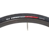 Image 3 for Specialized All Condition Armadillo Elite Tire (Black) (700c) (25mm)