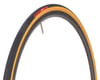 Image 1 for Specialized Turbo Cotton Road Tire (Tan Wall) (700c / 622 ISO) (26mm)