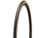 Image 1 for Specialized Cotton Folding Racing Only Road Tire (Tan Wall) (Tube Type) (700c) (28mm)