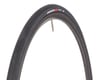 Image 1 for Specialized Roubaix Pro Endurance Road Tire (Black) (700c / 622 ISO) (25/28mm)
