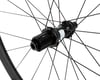Image 3 for Specialized Terra CL Wheelset (Satin Carbon/Satin Char (Shimano/SRAM 11spd Road) (12 x 100, 12 x 142mm) (700c / 622 ISO)