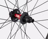 Image 3 for Specialized Roval Traverse HD 240 Carbon Disc Wheel (Carbon/Black) (SRAM XD) (Rear) (12 x 148mm (Boost)) (29")