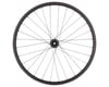 Image 3 for Specialized Roval Traverse HD 350 Carbon Disc Wheel (Black) (Front) (15 x 110mm (Boost)) (29")