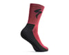 Image 2 for Specialized Primaloft Lightweight Tall Logo Socks (Maroon) (M)