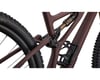 Image 5 for Specialized Stumpjumper Pro T-Type Mountain Bike (Satin Rusted Red/Dove Grey) (S2)