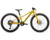 Image 1 for Specialized Riprock 24" Kids Mountain Bike (Gloss Sulphur/Oak Green) (24")