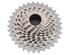 Related: SRAM Red AXS XG-1290 Cassette (Silver) (12 Speed) (XDR) (10-33T)