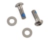 Image 1 for SRAM & Avid Flat Mount Caliper Bracket Bolts (Silver) (T25) (Pair) (15mm) (Stainless Steel)