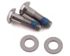 Image 1 for SRAM & Avid Flat Mount Caliper Bracket Bolts (Silver) (T25) (Pair) (17mm) (Stainless Steel)