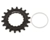 Image 1 for SRAM X-Sync EX1 Sprocket Chainring (Black) (For Bosch E-Bike Motors) (18T)