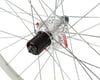 Image 2 for Sta-Tru Quick Release Double Wall Rear Wheel (Silver) (Shimano HG) (QR x 135mm) (26")