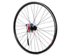 Image 1 for Sta-Tru MTB Double Wall Rear Wheel (Black) (Shimano/SRAM) (QR x 135mm) (26" / 559 ISO)