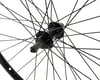 Image 2 for Sta-Tru ST735 Alloy Rear Wheel (Black) (36H) (Freewheel) (QR x 135mm) (700c / 622 ISO)