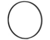 Image 1 for Stan's Arch MK4 Disc Rim (Black) (28H) (Presta) (29" / 622 ISO)