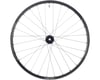 Image 1 for Stan's Arch CB7 29" Front Wheel Carbon (28H) (15 x 100mm)