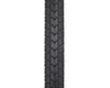 Image 2 for Surly ExtraTerrestrial Tubeless Touring Tire (Black) (700c) (41mm)