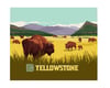 Image 2 for Swiftwick Vision Six Socks (Yellowstone Bison) (L)