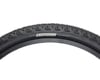 Image 3 for Teravail Sparwood Adventure Tire (Black) (24") (1.85") (507 ISO)