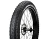 Image 1 for Vee Tire Co. Mission Mountain Bike Tire