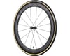 Image 3 for Vittoria Corsa G+ Tubular Tire (Black/Tan)