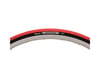 Image 2 for Vittoria Zaffiro II Road Tire (Red/Black)