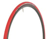 Image 1 for Vittoria Zaffiro Pro Home Trainer Tire (Red) (Folding) (700c) (23mm)