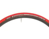Image 3 for Vittoria Zaffiro Pro Home Trainer Tire (Red) (Folding) (700c) (23mm)