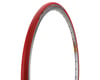 Image 1 for Vittoria Zaffiro Pro Home Trainer Tire (Red) (Folding) (700 x 35)