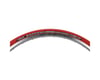 Image 3 for Vittoria Zaffiro Pro Home Trainer Tire (Red) (Folding) (700 x 35)