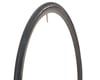 Image 1 for Vittoria Rubino Pro III Road Tire (Black) (Folding)