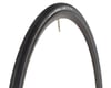 Image 1 for Vittoria Corsa G+ Competition Tire (Folding) (Anthracite/Black)