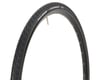 Image 1 for Vittoria Randonneur Classic Tire (Black) (700c) (32mm)