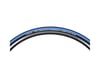 Image 3 for Vittoria Rubino Pro G+ Tire (Folding Clincher) (Blue/Black/Blue) (700 x 25)