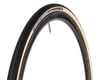 Vittoria Corsa Control Road Tire (Para) (700c / 622 ISO) (25mm)