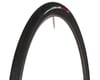 Image 1 for Vittoria Corsa Control TLR Tubeless Road Tire (Black) (700c) (28mm)