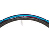 Image 3 for Vittoria Rubino Pro Road Tire (Black/Blue) (700c / 622 ISO) (25mm)
