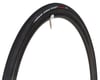 Image 1 for Vittoria Rubino Pro TLR Tubeless Road Tire (Black) (700c / 622 ISO) (25mm)