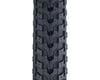 Image 2 for WTB All Terrain Comp DNA Tire (Black) (700c / 622 ISO) (37mm)