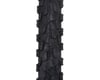 Image 2 for WTB VelociRaptor Special Edition DNA Front Tire