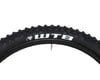Image 4 for WTB VelociRaptor Special Edition DNA Rear Tire