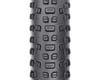 Image 2 for WTB Ranger Tubeless Mountain Tire (Black) (Folding) (29" / 622 ISO) (2.4") (Light/Fast w/ SG2)