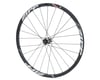 Image 1 for Zipp Speed Weaponry 30 Course Disc Front Wheel (Black)