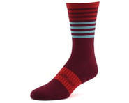 Bellwether Fusion Sock (Burgundy/Ferrari/Ice) | product-related