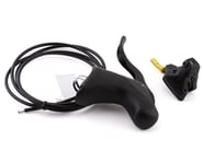 Campagnolo EKAR Ergopower Hydraulic Disc Brake/Shift Lever (Black) | product-related