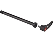 DT Swiss RWS Plug-In Rear X-12 Thru Axle (Black) | product-also-purchased