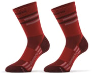Giordana FR-C Tall Lines Socks (Sangria) | product-related