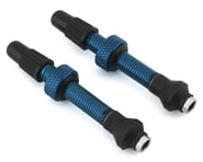 Industry Nine Tubeless Presta Valve Stems (Blue) | product-also-purchased
