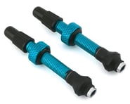 Industry Nine Tubeless Presta Valve Stems (Turquoise) | product-also-purchased
