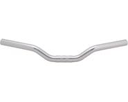 Nitto Riser Bar (Silver) (25.4mm) | product-related