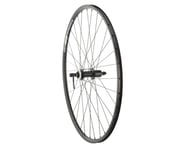 more-results: Quality Wheels Value Double Wall Series Disc/Rim Rear Wheel (Black) (Shimano HG) (QR x